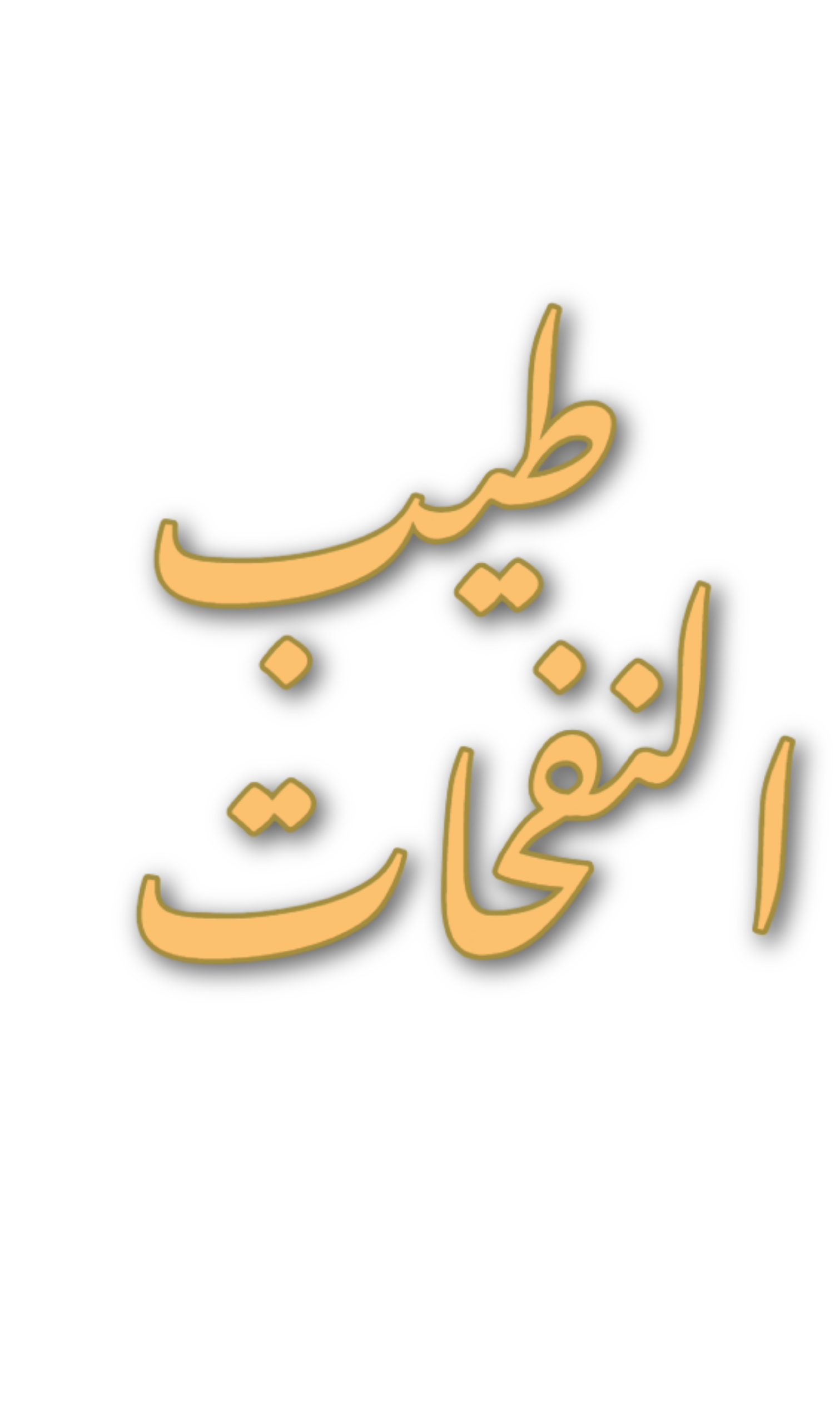 Taib Alnafahat